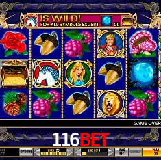 Descubra a Essência do 116bet: Nossa História e Compromissos